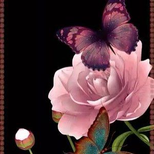 Meet your Posher, Lu